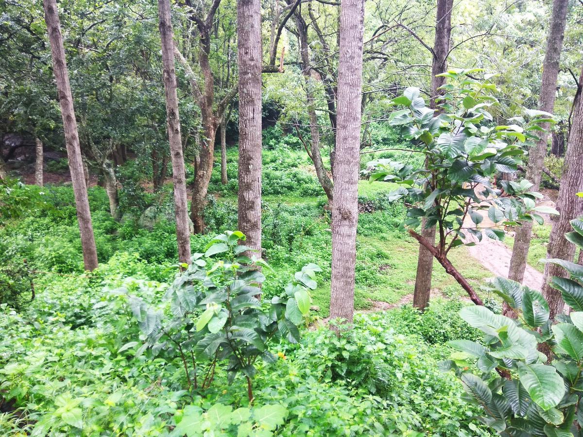Secret Valley Jungle Resort Ooty Exterior photo
