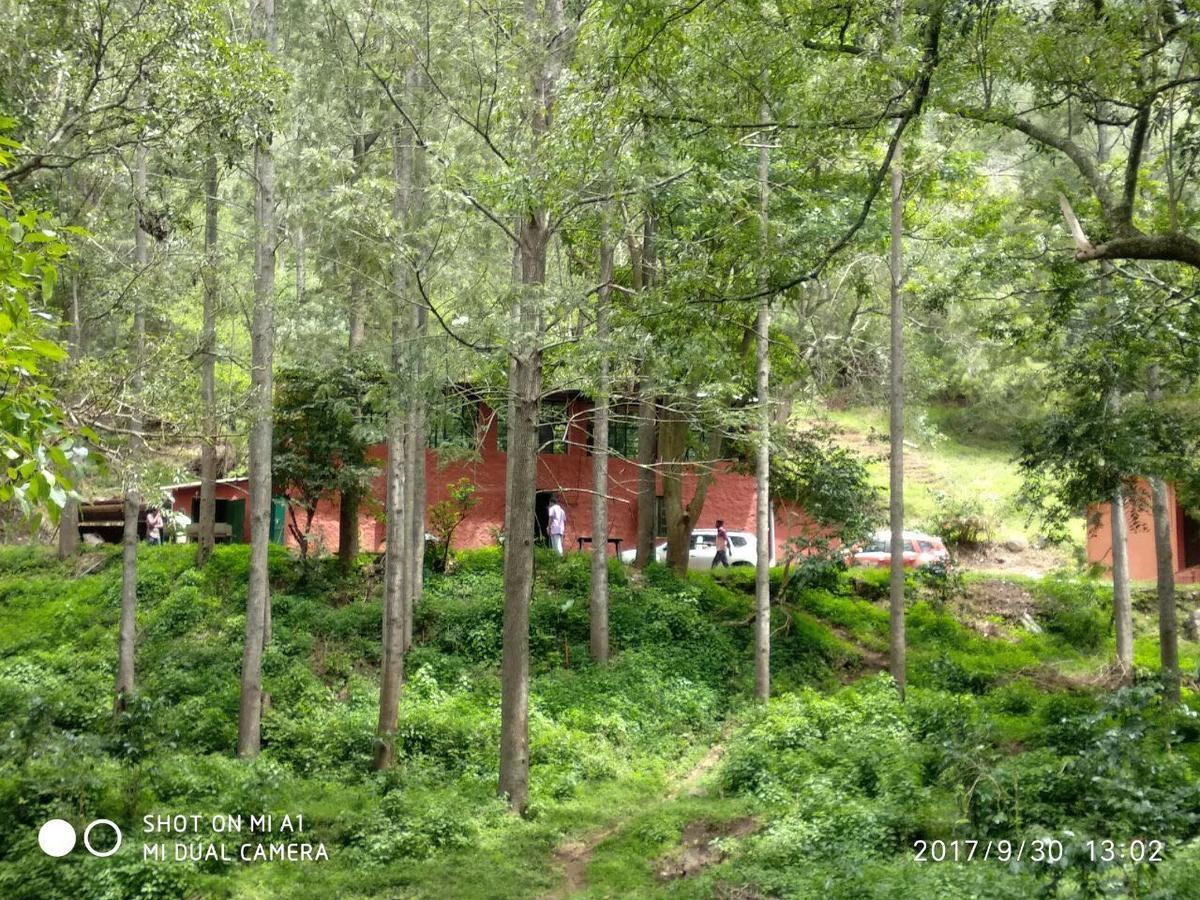Secret Valley Jungle Resort Ooty Exterior photo