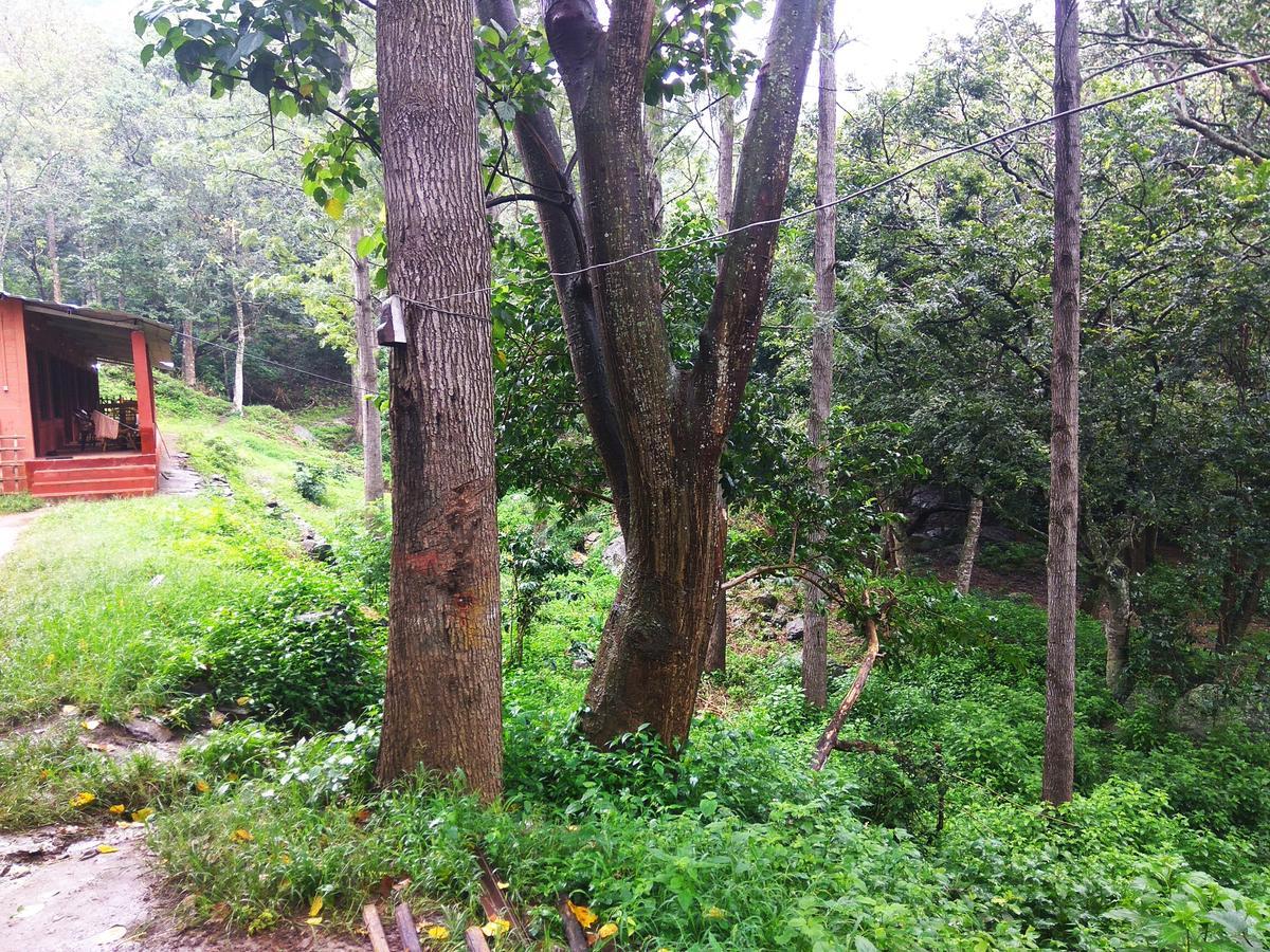 Secret Valley Jungle Resort Ooty Exterior photo