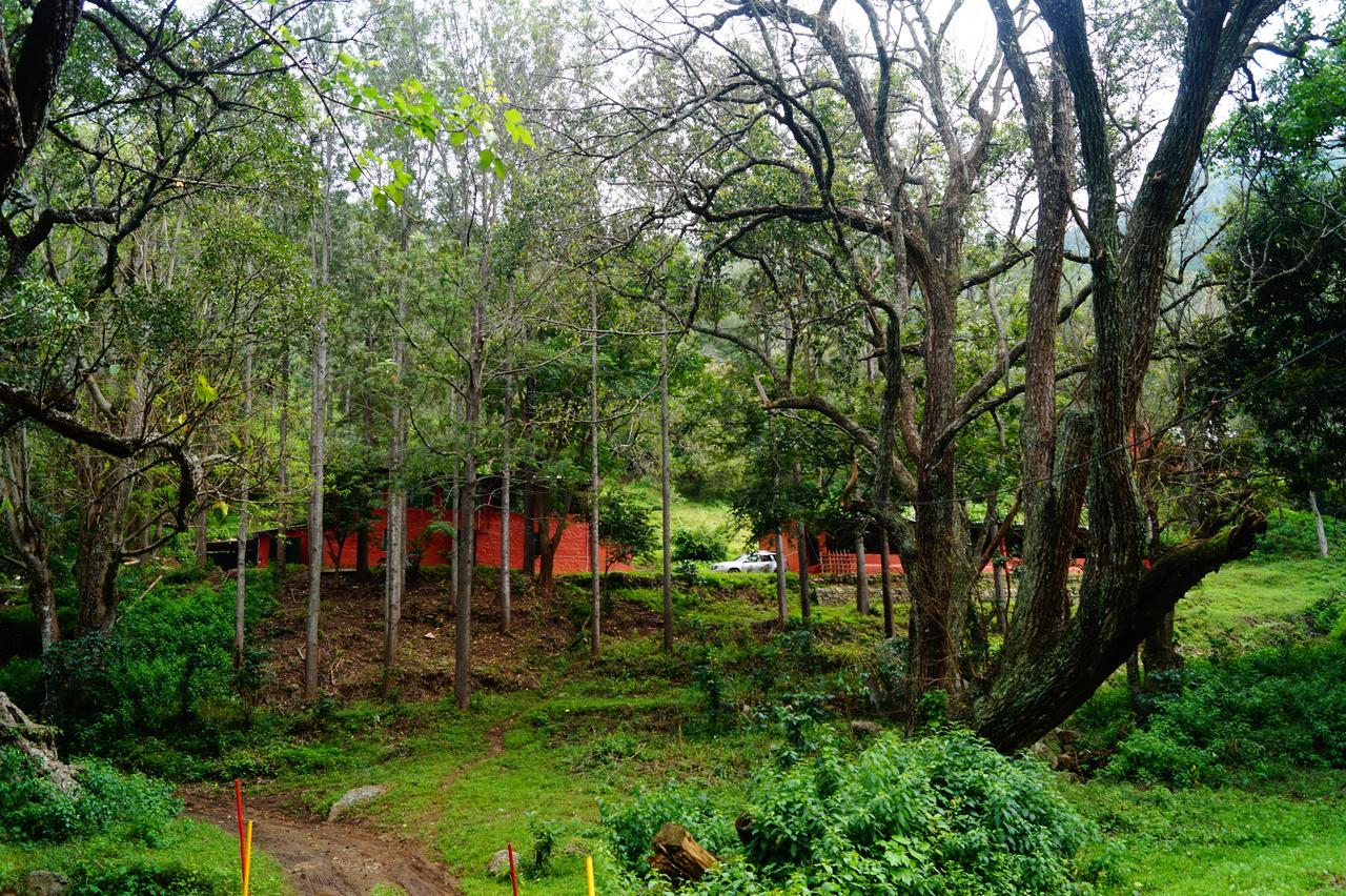 Secret Valley Jungle Resort Ooty Exterior photo