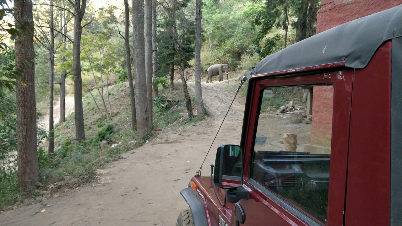 Secret Valley Jungle Resort Ooty Exterior photo